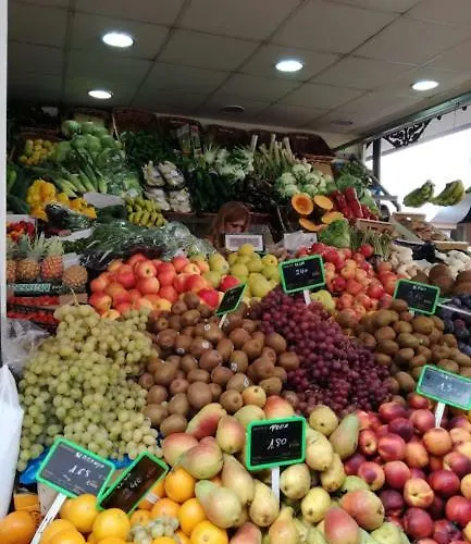 Apartment Organos Luxe