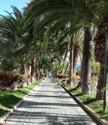 Apartment Organos Luxe *